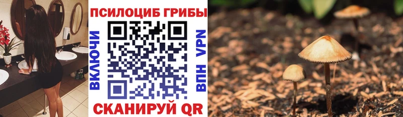 Галлюциногенные грибы прущие грибы  MEGA зеркало  Любань 
